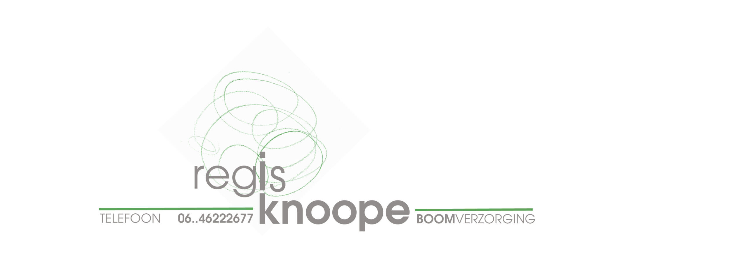 www.regisknoope.nl